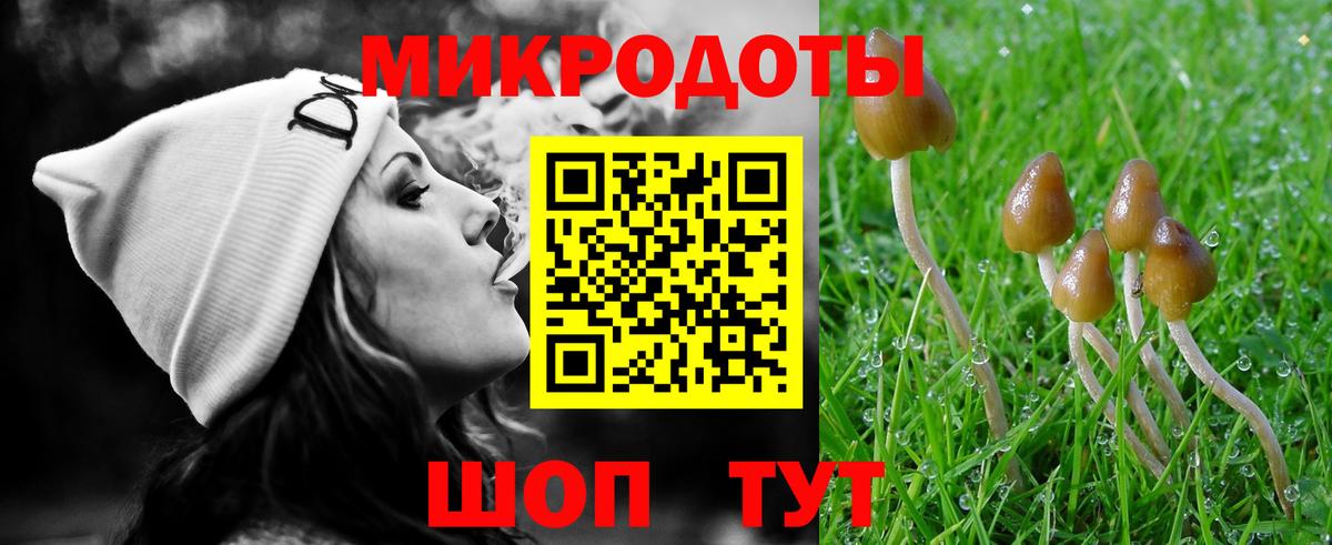 хочу   Вход с VPN  Волжский  Галлюциногенные грибы Cubensis 
